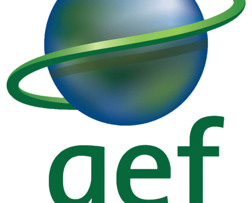 GEF logo short