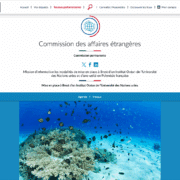 Aperçu du site de l'Assemblée nationale